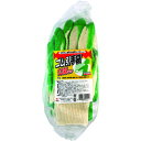 □ミタニ #LC-0110 ゴム引き手袋10双パック(グリーン) (品番:220063)(注番1396240)・(送料別途見積り,法人・事業所限定,直送)