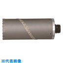 ハウスB.M ドラゴンALC用コアドリル(ボディのみ)105mm (品番:ALB-105)(注番1531839)・(送料別途見積り,法人・事業所限定,取寄)