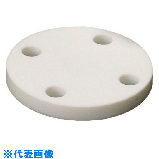 フロンケミカル　フッ素樹脂 （PTFE）ブラインドフランジ　JIS－5K　10A 《5枚入》 （品番:NR1414-001）（注番1532873×5）・（送料別途見積り,法人・事業所限定,取寄）