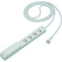 Panasonic 充電用USBコンセント付OAタップ (品番:WCH243432H)(注番1573575)・(送料別途見積り,法人・事業所限定,取寄)