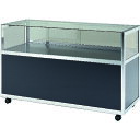 ハヤノ エクシード 平ケースC2 シルバー プッシュ錠付 (品番:C2-9-60-S-P)(注番1677393)・(送料別途見積り,法人・事業所限定)【大型】