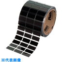 PANDUIT 熱転写プリンター用ラベル 配電盤向け銘板ラベル サイズ:88.9X76.2mm 屋内外仕様 黒 500枚入り C350X300A0T (品番:C...