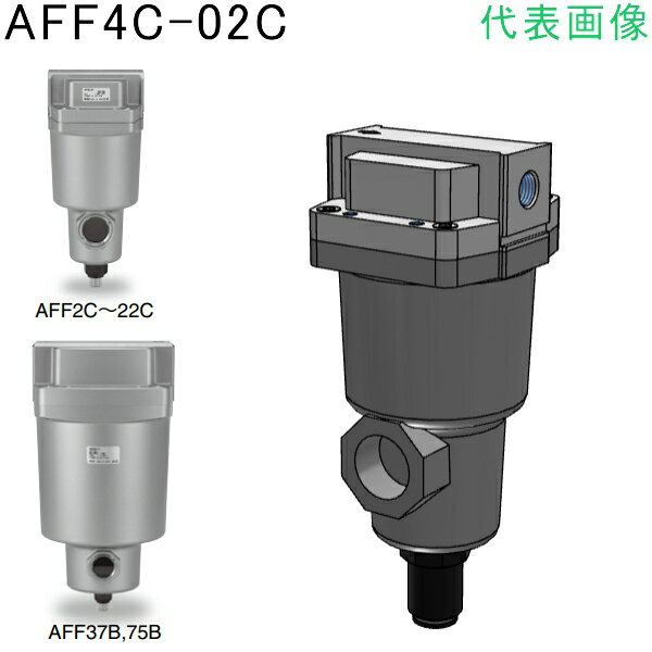 SMCᥤ饤ե륿 :AFF22C-10BC-Fˡ1702510ˡӸѤ,ˡ͡Ƚ,