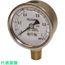右下 グリセリン入圧力計 (品番:GLT-117-0.6MPA)(注番1772118)・(送料別途見積り,法人・事業所限定,取寄)