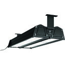 岩崎 レディオック デポライナー 180W 丸形配光 (品番:ELBW18001CNSAN9BK)(注番1787811)
