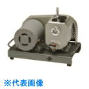 TGK 真空ポンプ 平台 UST-300 単相 100V 50Hz (品番:357-64-50-13)(注番1835608)・(送料別途見積り,法人・事業所限定...