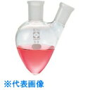 TGK 共通二口梨形フラスコ29-15 200mL (品番:371-13-16-22)(注番1845112)・(送料別途見積り,法人・事業所限定,取寄)