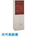 TGK Fine 薬品庫 EY-600上下セット (品番:405-57-05-01)(注番1846823)・(送料別途見積り,法人・事業所限定,直送)