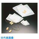 TGK ビセラバッグ 250×350 100枚入 (品番:701-58-25-04)(注番1847299)・(送料別途見積り,法人・事業所限定,直送)
