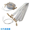 TGK クリーンリボンヒーターCR40-3030 (品番:774-60-85-40)(注番1847334)・(送料別途見積り,法人・事業所限定,取寄)