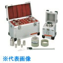TGK OIML型標準分銅セット計200g M2級 (品番:906-65-56-16)(注番1850826)・(送料別途見積り,法人・事業所限定,直送)(4)