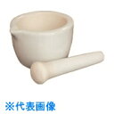 TGK 汎用乳鉢 磁性 J-704 乳棒付 (品番:985-54-31-14)(注番1852444)・(送料別途見積り,法人・事業所限定,取寄)