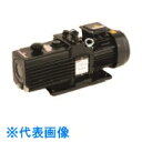 TGK 油回転真空ポンプ GLD-202AA (品番:423-64-52-55)(注番1859128)・(送料別途見積り,法人・事業所限定,直送)