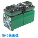 TGK ダイアフラム型真空ポンプ DA-40S (品番:423-64-51-25)(注番1859539)・(送料別途見積り,法人・事業所限定,取寄)