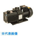 TGK 油回転真空ポンプ GLD-137AA (品番:423-64-52-54)(注番1859764)・(送料別途見積り,法人・事業所限定,直送)