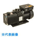 TGK 油回転真空ポンプ GLD-137CC (品番:423-64-52-52)(注番1860237)・(送料別途見積り,法人・事業所限定,取寄)