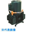TGK ダイアフラム型真空ポンプ DAT-100S (品番:423-64-51-39)(注番1860252)・(送料別途見積り,法人・事業所限定,直送)