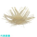 TKG 萬洋 竹製 魚蒸網 小 (品番:AMS73003)(注番1867318)・(送料別途見積り,法人・事業所限定)【大型】