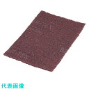 TKG 早川工業 ベア・ロン業務用ナイロンたわし (20枚入) B2型 (品番:JTW8801)(注番1880135)・(送料別途見積り,法人・事業所限定,取寄...