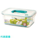 TKG L&L テーブルトップコンテナー H付 レクタングル LBF562 (品番:ALL2301)(注番1887500)・(送料別途見積り,法人・事業所限定,取寄)(4)