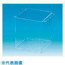 TGK 石英ガラス板角容器 100×200×100 (品番:284-15-16-02)(注番1897525)・(送料別途見積り,法人・事業所限定,取寄)