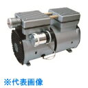 TGK 真空ポンプ DP-90VH (品番:203-64-50-03)(注番1902228)・(送料別途見積り,法人・事業所限定,取寄)