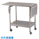 TGK ラボラトリーベンチ PLB (品番:241-25-31-23)(注番1907095)・(送料別途見積り,法人・事業所限定,直送)