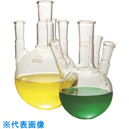 TGK　Fine透明共通四口フラスコ　300mL　29－19 （品番:330-13-64-54）（注番1908720）・（送料別途見積り,法人・事業所限定,取寄）