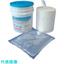 橋本 防災用ウエットタオル (250枚入) (品番:BT250)(注番1918312)・(送料別途見積り,法人・事業所限定,取寄)