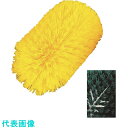 TKG CARLISLE(カーライル) タンクケトルブラシ L(ハンドル別売) 41177 グリーン (品番:JBLQ002)(注番1921953)・(送料別途...