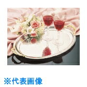 TKG　MS　18-0ティファニー小判トレー　MR-265 （品番:PTL08）（注番1926853）・（送料別途見積り,法人・事業所限定,取寄） その1