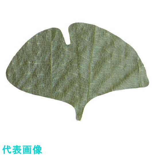 TKGޥץղߡС5023922ɷ :QHO1103ˡ1942663ˡӸѤ,ˡ͡...