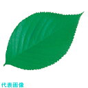 TKG ヤマコー 型抜きクリアシート(200枚入) 65782 ミニ・木の葉 (品番:QKL1901)(注番1947597)・(送料別途見積り,法人・事業所限定...