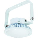 NICHIDO ハイスペックハイディスク100W 電源装置内蔵型 昼白色 吊下げ型 乳白 (品番:L100B-P-HM110-50K)(注番1954971)