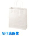 JTX 354116)手提袋 丸紐 白 小 50枚 B287J-W (品番:B287J-W)(注番1972583)(3)