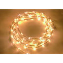 tlight LEDチューブストリング シャンパンゴールド L1000 (品番:NTCD1-33-30P/2)(注番2003313)