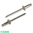 エビ ブラインドリベット(ステンレス/スティール製) 6-2(15本入) エコパック (品番:NSS62MP)(注番2027738)(4)
