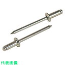 エビ ブラインドリベット(スティール/スティール製) 6-3(35本入) エコパック (品番:NS63MP)(注番2027749)(4)