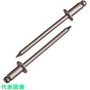 エビ ブラインドリベット(ステンレス/ステンレス製) 4-3(40本入) エコパック (品番:NST43MP)(注番2029267)(4)