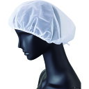 サンペックス ヘアーネット(10枚入) 白 (品番:G-5077)(注番2046636)・(送料別途見積り,法人・事業所限定,取寄)