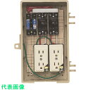 未来 屋外電力用仮設ボックス (品番:C2A-2CT)(注番2049324)・(送料別途見積り,法人・事業所限定,取寄)(4)