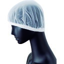 サンペックス ヘアネット(10枚入) (品番:G-5076)(注番2049751)・(送料別途見積り,法人・事業所限定,取寄)
