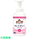 ライオン 【4月末まで期間限定特価】 キレイキレイ薬用泡ハンドソープ 550mL (品番:BPGHALP)(注番2083419)