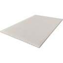 RISU テクセル5mm樹脂板 633732 TECCELL樹脂製中空ナチュラル600X900 (品番:T5-600X900)(注番2083618)・(送料別途...