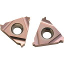 NOGA カーメックスねじ切り用チップ 《10個入》 (品番:16ERG55)(注番2089937×10)・(送料別途見積り,法人・事業所限定,取寄)