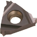NOGA カーメックスねじ切り用チップ 《10個入》 (品番:16ERBG55BMA)(注番2090893×10)・(送料別途見積り,法人・事業所限定,取寄)