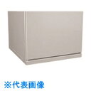 Nito 日東工業 FCXステンレス基台 FCX-SZ80605ZA 1個入り (品番:FCX-SZ80605ZA)(注番2116101)・(法人・事業所限定,...