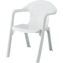 サンコー プラスチック製チェアー 807001 エコンチェアーNo.1白 (品番:SK-807001-WH)(注番2171617)