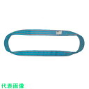 □TESAC ブルースリング(JIS3等級・エンドレス形)荷重20.0t全長4.5m (品番:3N300X4.5)(注番2184173)・(法人・事業所限定,直...