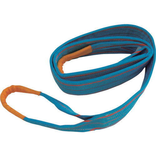 TESAC֥롼󥰡JIS3顦ξü˲ٽ100tĹ25m :3E300X2.5ˡ2203512ˡ...